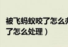 被飛螞蟻咬了怎么辦在眼睛附近（被飛螞蟻咬了怎么處理）