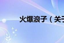 火爆浪子（關于火爆浪子的介紹）