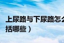 上尿路與下尿路怎么區(qū)分（上尿路和下尿路包括哪些）