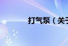 打氣泵（關于打氣泵的介紹）