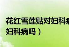 花紅雪蓮貼對(duì)婦科病有效嗎（雪蓮貼可以治療婦科病嗎）