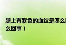 腿上有紫色的血紋是怎么回事圖片（腿上有紫色的血紋是怎么回事）
