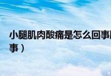 小腿肌肉酸痛是怎么回事腳后跟疼（小腿肌肉酸痛是怎么回事）