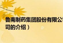 魯南制藥集團(tuán)股份有限公司（關(guān)于魯南制藥集團(tuán)股份有限公司的介紹）
