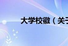 大學(xué)?；眨P(guān)于大學(xué)?；盏慕榻B）