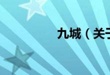 九城（關于九城的介紹）