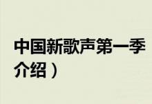 中國新歌聲第一季（關(guān)于中國新歌聲第一季的介紹）