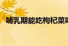 哺乳期能吃枸杞菜嗎（哺乳期能吃枸杞嗎）