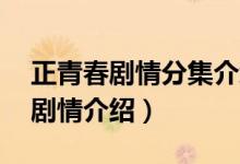 正青春劇情分集介紹（電視劇正青春1至2集劇情介紹）