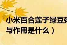 小米百合蓮子綠豆粥功效（百合綠豆粥的功效與作用是什么）