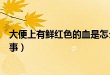 大便上有鮮紅色的血是怎么回事（大便有鮮紅色的血怎么回事）