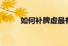 如何補(bǔ)脾虛最有效（如何補(bǔ)脾虛）