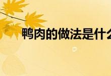 鴨肉的做法是什么（鴨肉怎么做好吃）