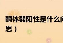 酮體弱陽(yáng)性是什么問(wèn)題（酮體弱陽(yáng)性是什么意思）