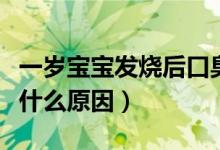 一歲寶寶發(fā)燒后口臭什么原因（寶寶口臭發(fā)燒什么原因）