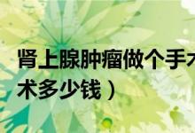 腎上腺腫瘤做個(gè)手術(shù)要多少錢(qián)（腎上腺腫瘤手術(shù)多少錢(qián)）