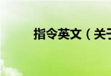 指令英文（關(guān)于指令英文的介紹）