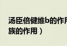 湯臣倍健維b的作用與功效（湯臣倍健維生b族的作用）