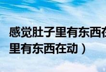 感覺肚子里有東西在動(dòng)像心跳一樣（感覺肚子里有東西在動(dòng)）