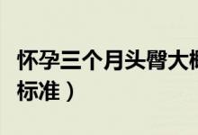 懷孕三個月頭臀大概多大（懷孕三個月頭臀長標準）