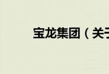 寶龍集團（關(guān)于寶龍集團的介紹）