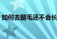 如何去腿毛還不會長（如何去腿毛不會復長）