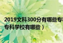 2019文科300分有哪些?？茖W(xué)校（2022高考文科300分公辦專科學(xué)校有哪些）