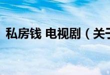 私房錢 電視劇（關(guān)于私房錢 電視劇的介紹）