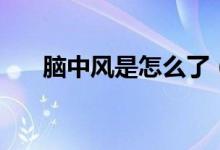 腦中風(fēng)是怎么了（腦中風(fēng)是怎么回事）