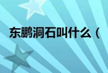 東鵬洞石叫什么（“世界洞石”震驚世界）