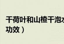 干荷葉和山楂干泡水的功效（干荷葉泡水喝的功效）