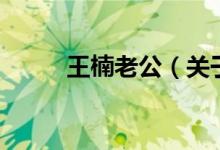 王楠老公（關(guān)于王楠老公的介紹）