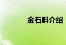 金石斛介紹（金石斛的簡介）