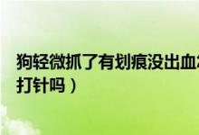 狗輕微抓了有劃痕沒出血怎么辦（狗抓沒出血但有點劃痕要打針嗎）