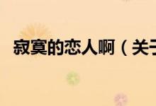 寂寞的戀人?。P(guān)于寂寞的戀人啊的介紹)