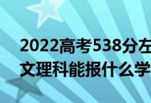 2022高考538分左右能上哪些大學（新高考文理科能報什么學校）