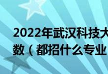 2022年武漢科技大學各省招生計劃及招生人數（都招什么專業(yè)）