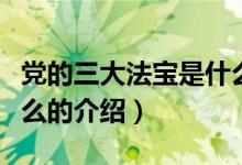 黨的三大法寶是什么（關(guān)于黨的三大法寶是什么的介紹）