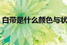 白帶是什么顏色與狀態(tài)（來白帶是什么意思）