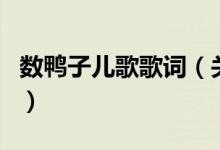 數(shù)鴨子兒歌歌詞（關(guān)于數(shù)鴨子兒歌歌詞的介紹）