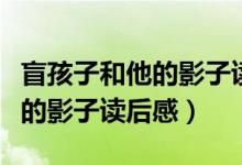 盲孩子和他的影子讀后感(怎么寫(xiě)盲孩子和他的影子讀后感)