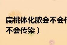 扁桃體化膿會(huì)不會(huì)傳染給寶寶（扁桃體化膿會(huì)不會(huì)傳染）