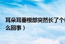 耳朵耳垂根部突然長(zhǎng)了個(gè)硬疙瘩（耳垂根部長(zhǎng)了個(gè)硬包是怎么回事）