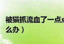 被貓抓流血了一點點怎么辦（被貓抓流血了怎么辦）