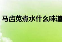 馬齒莧煮水什么味道（馬齒筧煮水喝的效果）