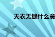 天衣無縫什么意思（天衣無縫解釋）