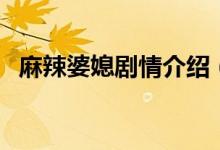 麻辣婆媳劇情介紹（這個電視劇太好看了）