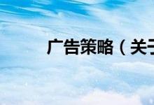 廣告策略（關于廣告策略的介紹）