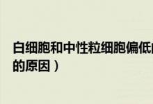 白細(xì)胞和中性粒細(xì)胞偏低的癥狀（白細(xì)胞和中性粒細(xì)胞偏低的原因）