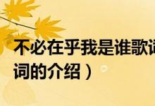 不必在乎我是誰歌詞（關于不必在乎我是誰歌詞的介紹）